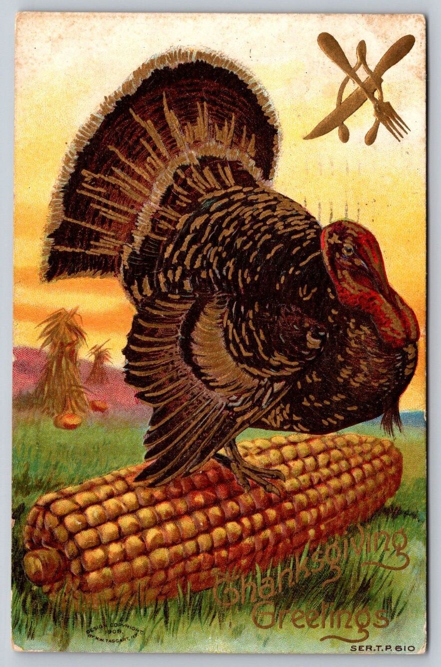 1909 Vintage Thanksgiving Postcard Turkey Standing on Ear of Corn Embossed Stamp